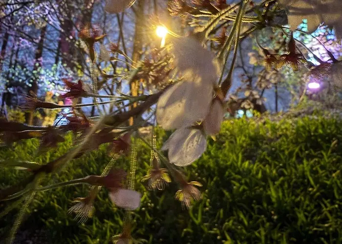서울스테이 여정